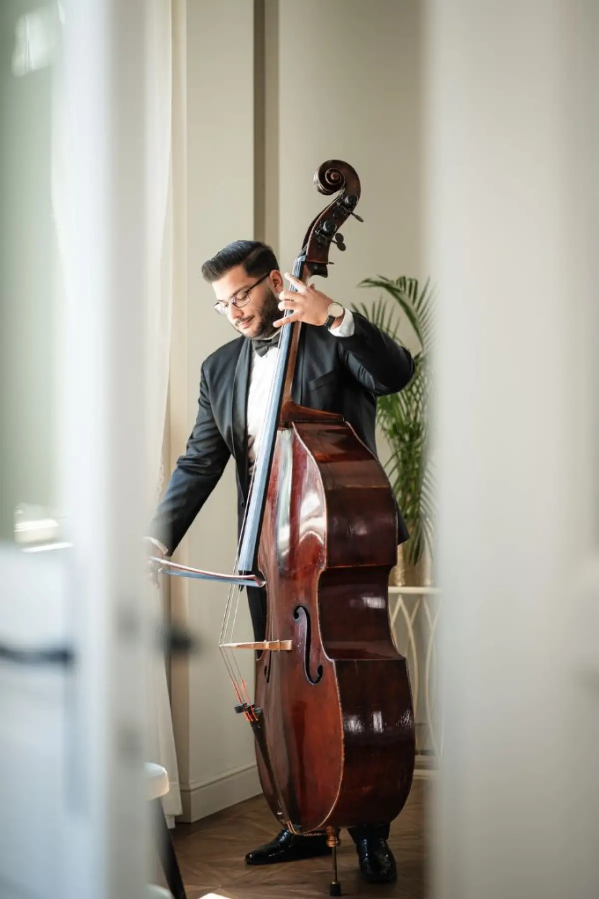 Bóni Andor - nagybőgő Bóni Andor - nagybőgő